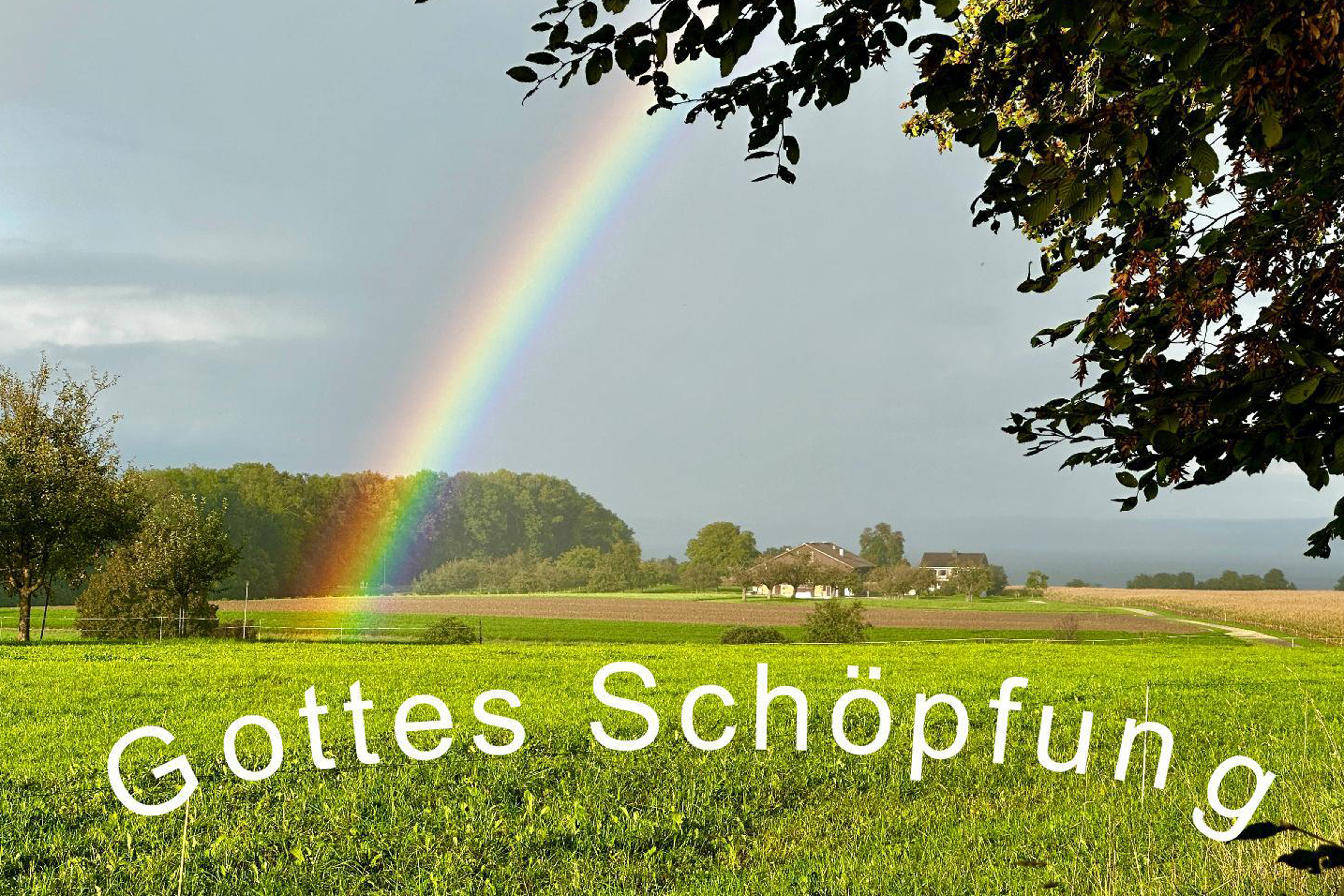 Schöpfungsgeschichte Regenbogen